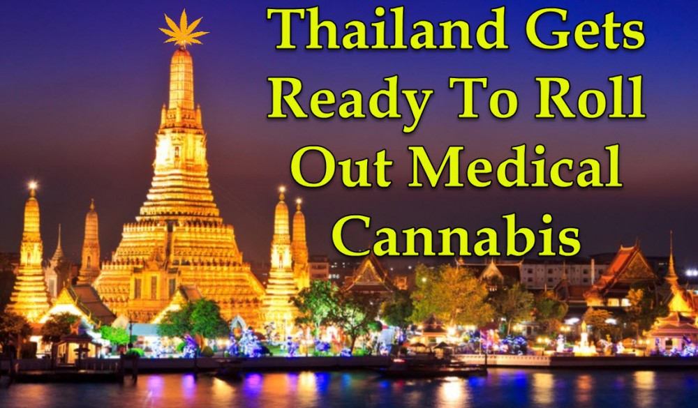 THAILAND ROLLS OUT MEDICAL MARIJUANA